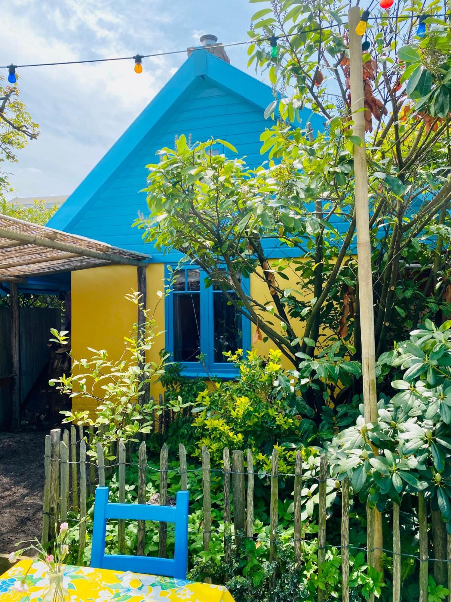 In De Aap - Appartementen & Guesthouse 베르겐 외부 사진