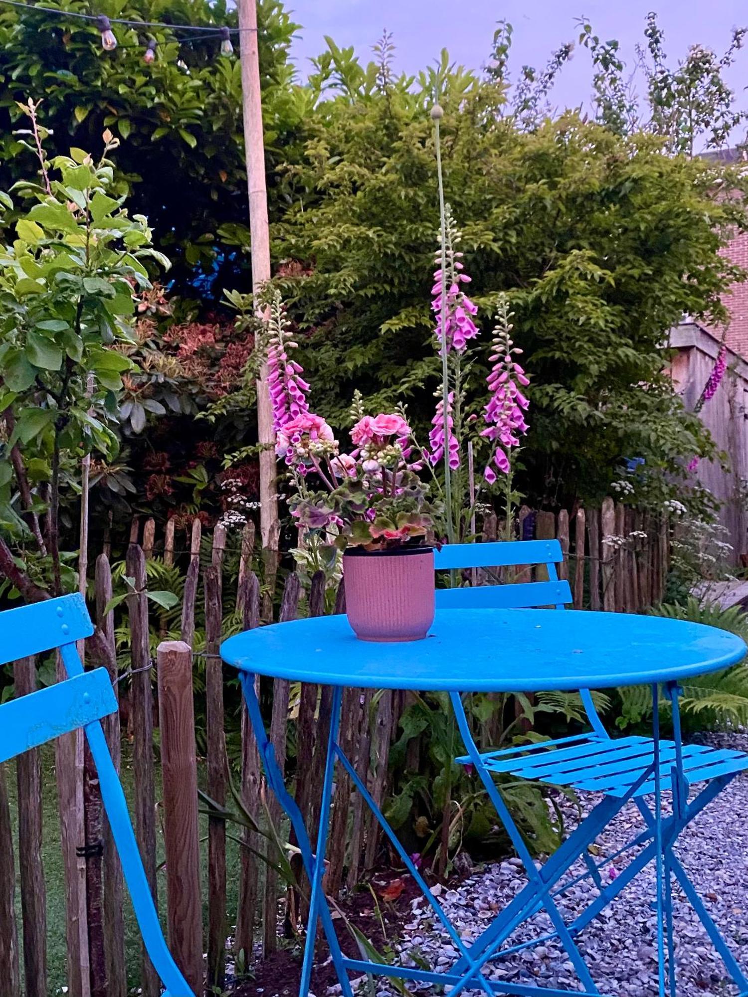 In De Aap - Appartementen & Guesthouse 베르겐 외부 사진