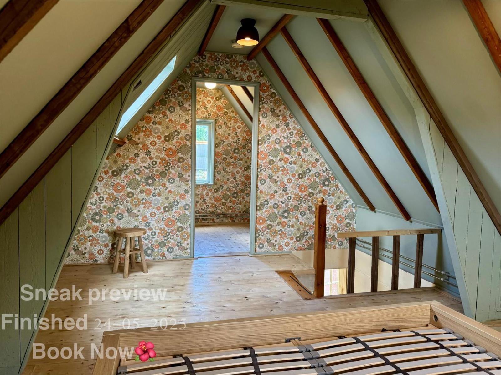 In De Aap - Appartementen & Guesthouse 베르겐 외부 사진